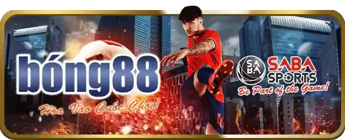 Trận đấu bóng đá đang diễn ra